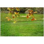 Fontaine-de-Vaucluse:<br>Sorgue